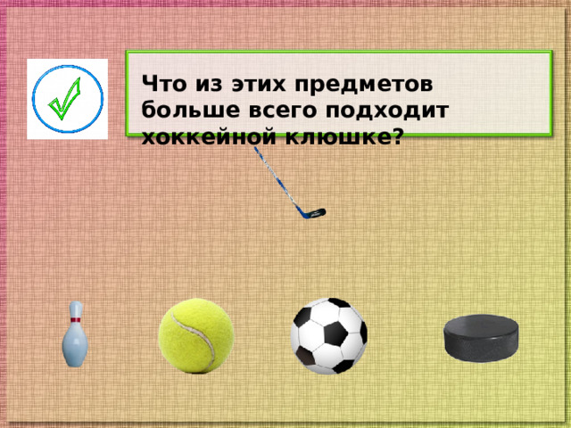 Что из этих предметов больше всего подходит хоккейной клюшке?