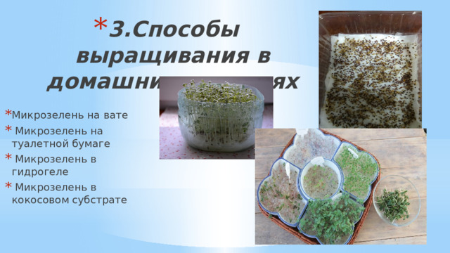 3.Способы выращивания в домашних условиях    Микрозелень на вате  Микрозелень на туалетной бумаге  Микрозелень в гидрогеле  Микрозелень в кокосовом субстрате