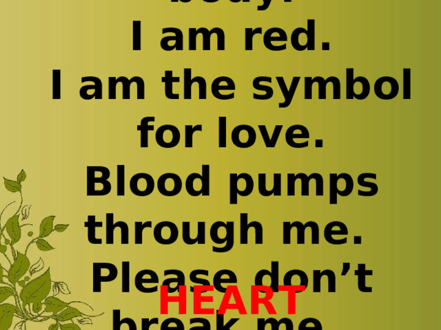 I am in your body.  I am red.  I am the symbol for love.  Blood pumps through me.  Please don’t break me.   HEART