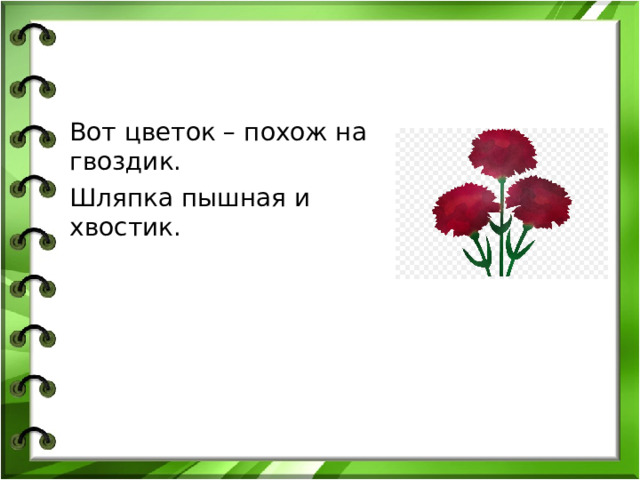 Вот цветок – похож на гвоздик. Шляпка пышная и хвостик.