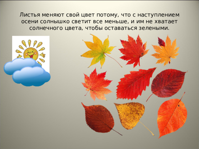 Листья меняют свой цвет потому, что с наступлением осени солнышко светит все меньше, и им не хватает солнечного цвета, чтобы оставаться зелеными.