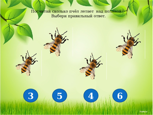 Посчитай сколько пчёл летает над поляной? Выбери правильный ответ. 3 5 4 6