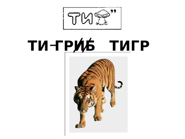 ГРИБ ТИ ТИГР