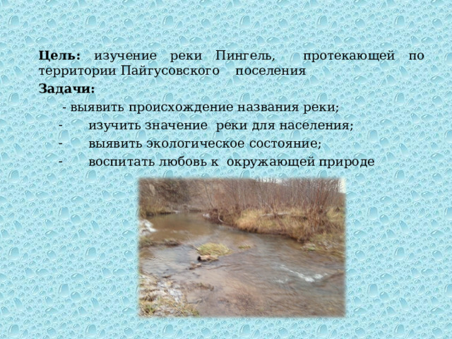 Цель: изучение реки Пингель, протекающей по территории Пайгусовского поселения Задачи:  - выявить происхождение названия реки;