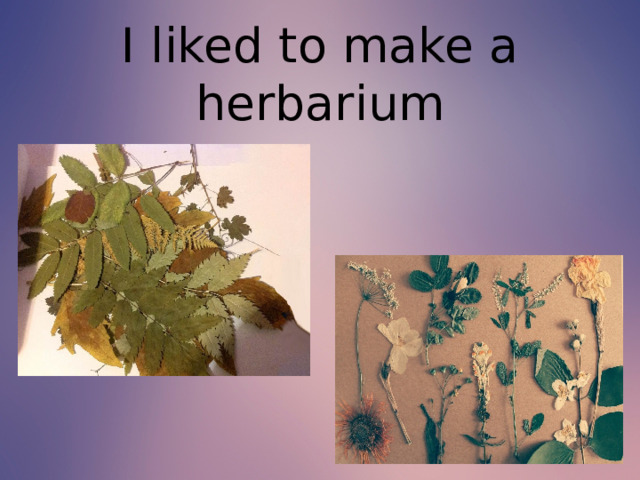 I liked to make a herbarium