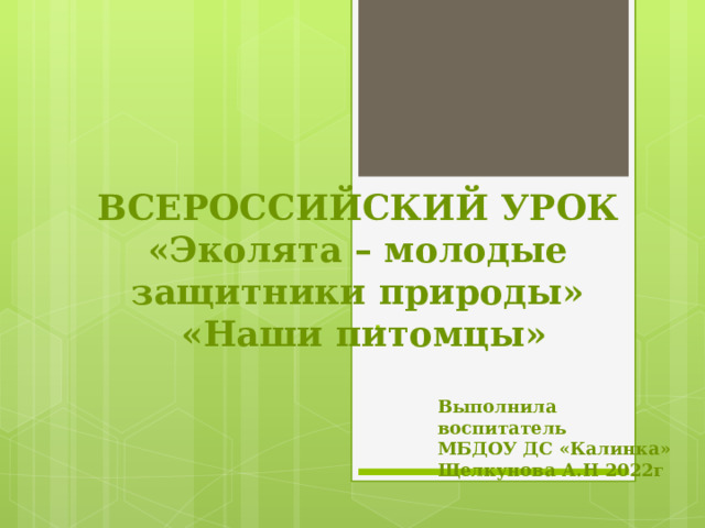 ВСЕРОССИЙСКИЙ УРОК  «Эколята – молодые защитники природы»  «Наши питомцы» . Выполнила воспитатель МБДОУ ДС «Калинка» Щелкунова А.Н 2022г