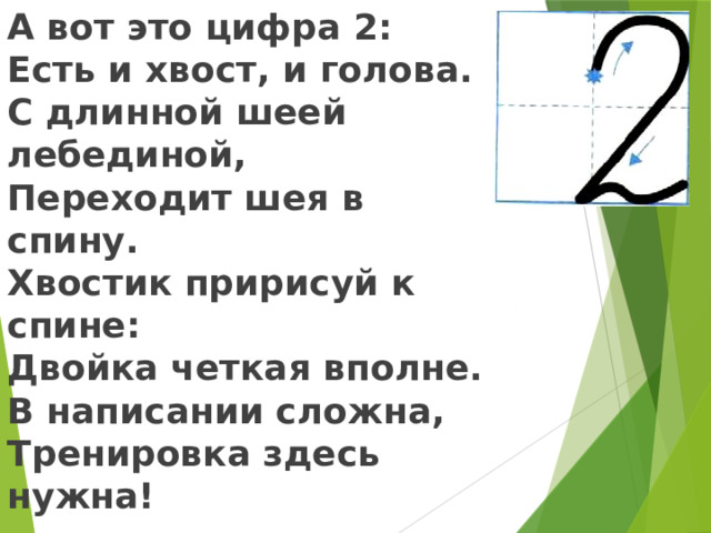 А вот это цифра 2: Есть и хвост, и голова. С длинной шеей лебединой, Переходит шея в спину. Хвостик пририсуй к спине: Двойка четкая вполне. В написании сложна, Тренировка здесь нужна!