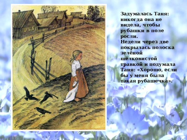 Задумалась Таня: никогда она не видела, чтобы рубашки в поле росли.  Недели через две покрылась полоска зелёной шелковистой травкой и подумала Таня: «Хорошо, если бы у меня была такая рубашечка».