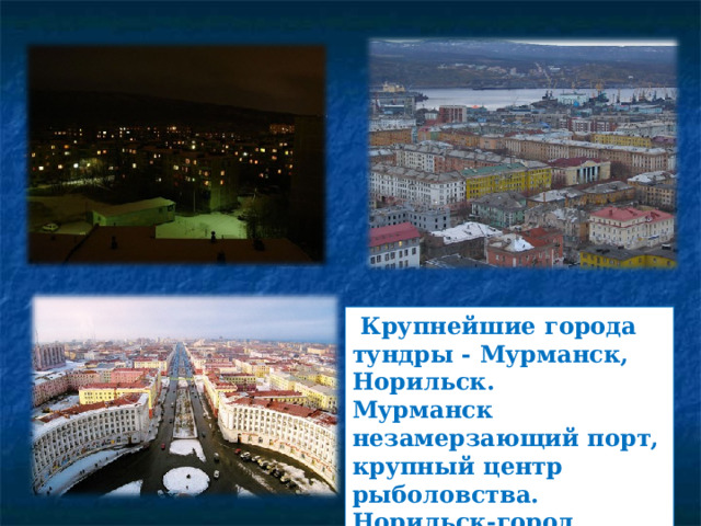 Крупнейшие города тундры - Мурманск, Норильск. Мурманск незамерзающий порт, крупный центр рыболовства. Норильск-город металлургов и горняков.