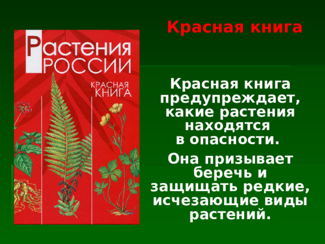 Красная книга Красная книга предупреждает, какие растения находятся  в опасности. Она призывает беречь и защищать редкие, исчезающие виды растений.