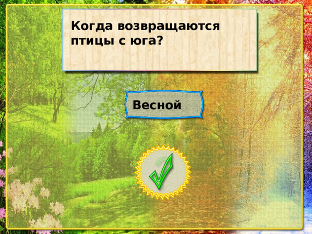 Когда возвращаются птицы с юга? Весной