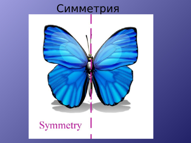 Симметрия
