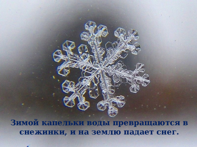 Зимой капельки воды превращаются в снежинки, и на землю падает снег.