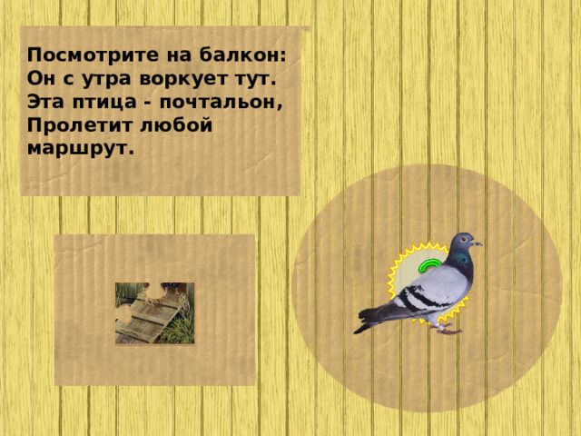 Посмотрите на балкон: Он с утра воркует тут. Эта птица - почтальон, Пролетит любой маршрут.