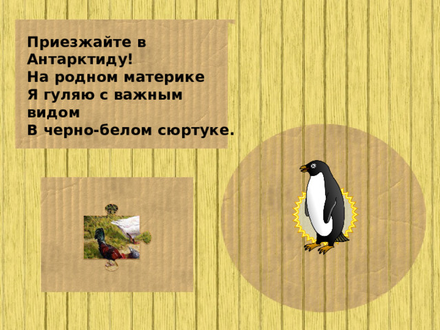 Приезжайте в Антарктиду! На родном материке Я гуляю с важным видом В черно-белом сюртуке.