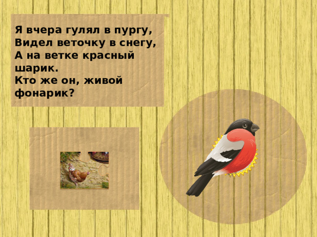 Я вчера гулял в пургу, Видел веточку в снегу, А на ветке красный шарик. Кто же он, живой фонарик?