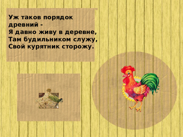 Уж таков порядок древний - Я давно живу в деревне, Там будильником служу, Свой курятник сторожу.