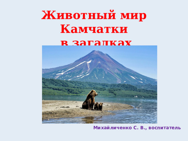 Животный мир Камчатки  в загадках Михайличенко С. В., воспитатель