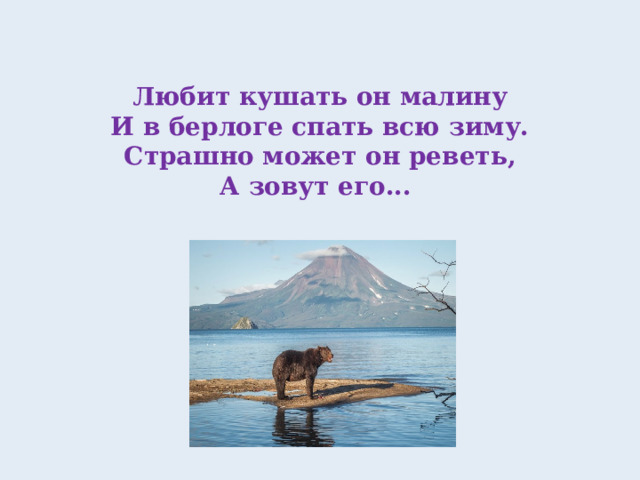 Любит кушать он малину  И в берлоге спать всю зиму.  Страшно может он реветь,  А зовут его...