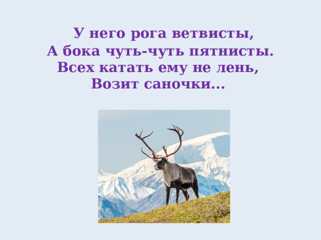 У него рога ветвисты,  А бока чуть-чуть пятнисты.  Всех катать ему не лень,  Возит саночки...