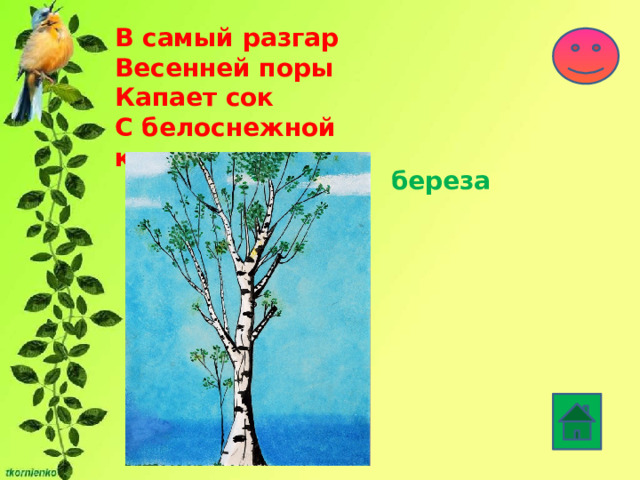 В самый разгар  Весенней поры  Капает сок  С белоснежной коры.   береза