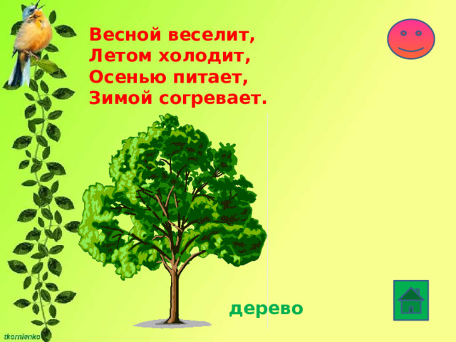 Весной веселит,  Летом холодит,  Осенью питает,  Зимой согревает. дерево