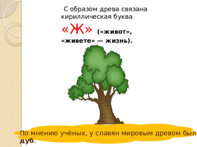 С образом древа связана кириллическая буква «Ж» («живот», «живете» — жизнь).  По мнению учёных, у славян мировым древом был дуб .