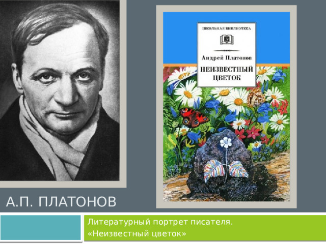 А.П. Платонов Литературный портрет писателя. «Неизвестный цветок»