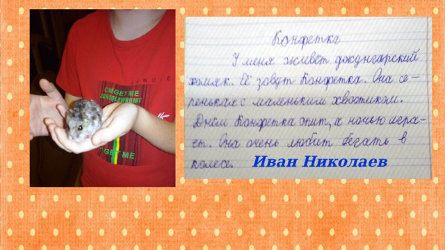 Иван Николаев