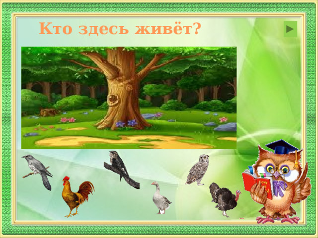 Кто здесь живёт?