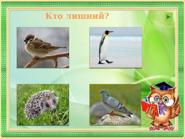 Кто лишний?