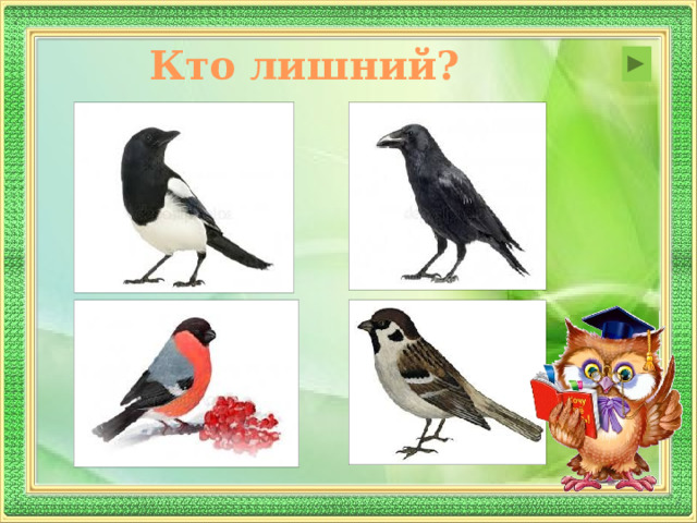 Кто лишний?