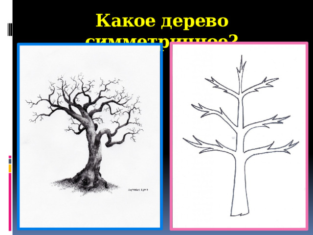 Какое дерево симметричное?