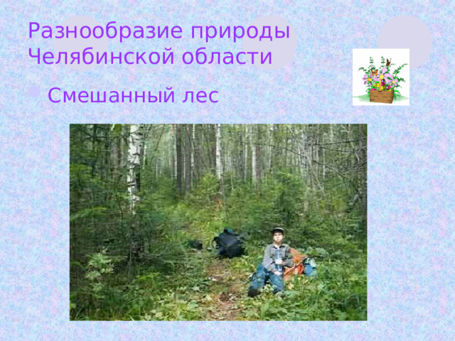 Разнообразие природы Челябинской области