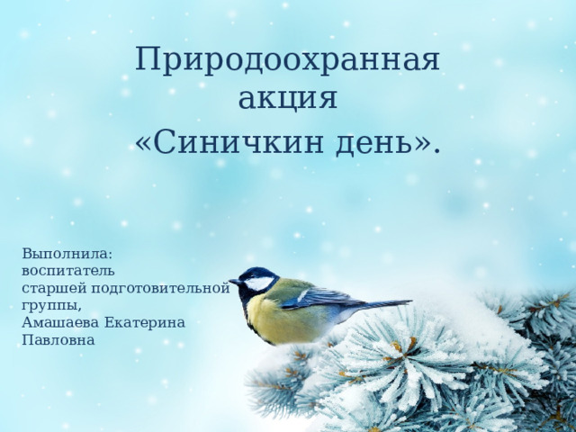 Природоохранная акция «Синичкин день». Выполнила:  воспитатель  старшей подготовительной группы,  Амашаева Екатерина Павловна