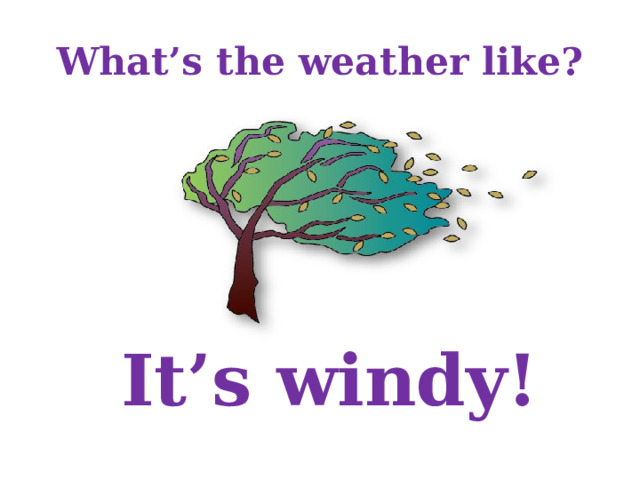 What’s the weather like? It’s windy!