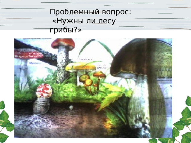 Проблемный вопрос:  «Нужны ли лесу грибы?»