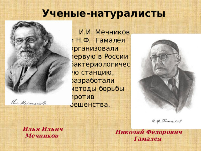 Ученые-натуралисты  И.И. Мечников и Н.Ф. Гамалея организовали первую в России бактериологическую станцию, разработали методы борьбы против бешенства. Илья Ильич Мечников  Николай Федорович Гамалея