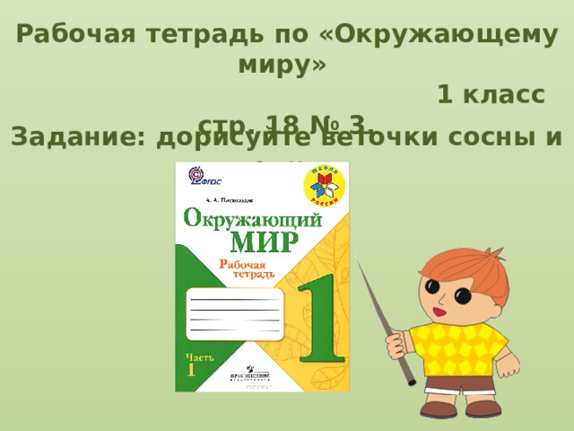 Рабочая тетрадь по «Окружающему миру»  1 класс стр. 18 № 3. Задание: дорисуйте веточки сосны и ели.