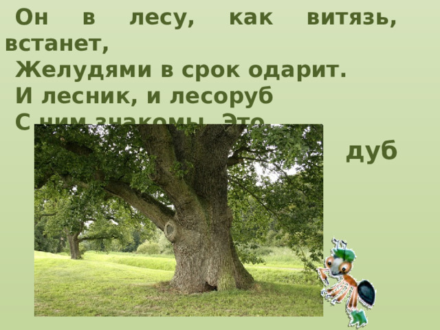 Он в лесу, как витязь, встанет, Желудями в срок одарит. И лесник, и лесоруб С ним знакомы. Это... дуб