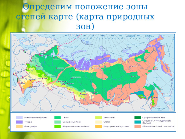 Определим положение зоны степей карте (карта природных зон)