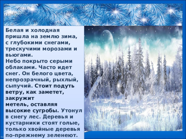 Белая и холодная пришла на землю зима, с глубокими снегами, трескучими морозами и вьюгами. Небо покрыто серыми облаками. Часто идет снег. Он белого цвета, непрозрачный, рыхлый, сыпучий. Стоит подуть ветру, как заметет, закружит  метель, оставляя высокие сугробы. Утонул в снегу лес. Деревья и кустарники стоят голые, только хвойные деревья по-прежнему зеленеют.