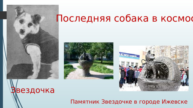 Последняя собака в космосе Звездочка Памятник Звездочке в городе Ижевске