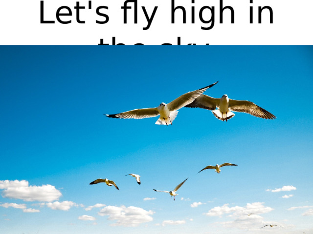 Let's fly high in the sky.