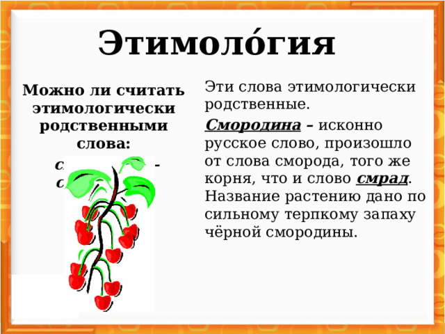 Этимоло́гия   Эти слова этимологически родственные. Смородина  – исконно русское слово, произошло от слова сморода, того же корня, что и слово смрад . Название растению дано по сильному терпкому запаху чёрной смородины. Можно ли считать этимологически родственными слова:  смородина – смрадный ?