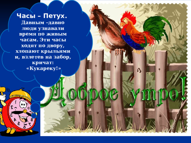 Часы – Петух. Давным –давно люди узнавали время по живым часам. Эти часы ходят по двору, хлопают крыльями и, взлетев на забор, кричат:  «Кукареку!»