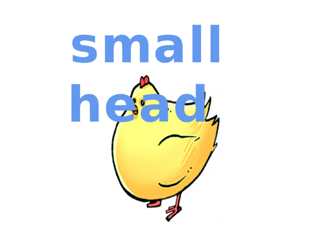 small head