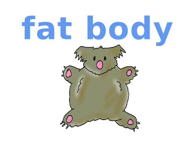fat body