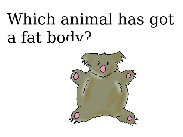 Which animal has got a fat body?