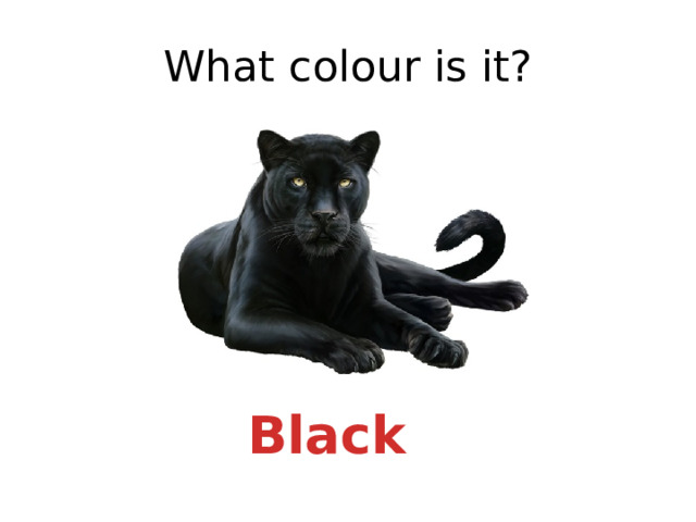 What colour is it? Black